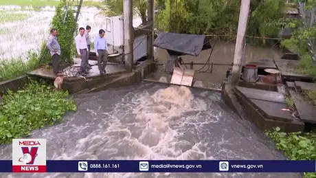 Triển khai công tác ứng phó triều cường