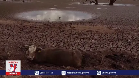 Khủng hoảng nước đe dọa 50% sản lượng lương thực thế giới