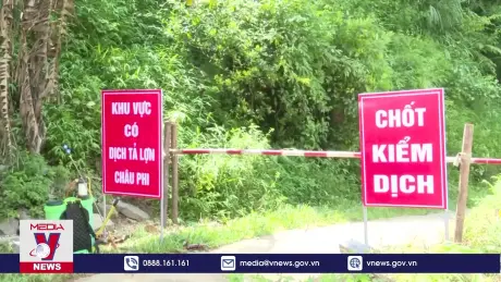 Khống chế dịch tả lợn châu Phi trên địa bàn tỉnh Hà Giang