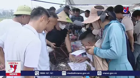 Đấu giá đất vùng ven ngoại thành Hà Nội hạ nhiệt