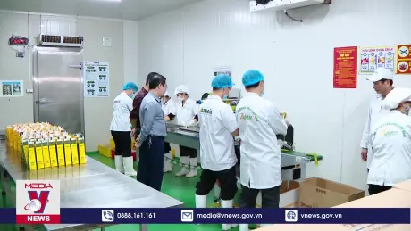 Xuất khẩu rau quả vượt khó tăng trưởng ngoạn mục