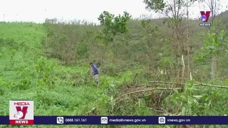 Hỗ trợ vốn để người dân khôi phục sản xuất, kinh doanh sau bão