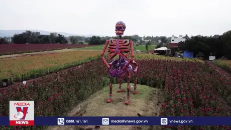 Tinh thần sẻ chia từ Lễ hội Người chết ở Mexico