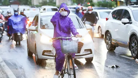 Thời tiết ngày 19/10: Thủ đô Hà Nội mưa dông, gió giật mạnh