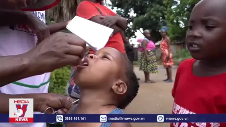 Kho dự trữ vaccine ngừa dịch tả toàn cầu cạn kiệt