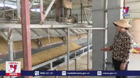 Nữ đại điền chủ làm giàu từ ruộng hoang