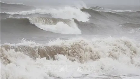 Các tỉnh ven biển đề phòng gió mạnh, sóng lớn trên biển