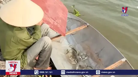 Bảo vệ và phát triển nguồn lợi thủy sản