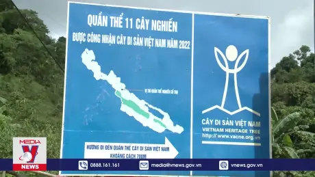 Đồng bào vùng cao bảo vệ rừng bằng hương ước