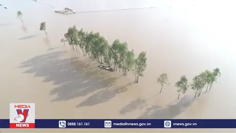 Săn sản vật mùa nước nổi