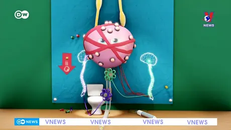 Tạp chí toàn cầu ngày 21/10/2024