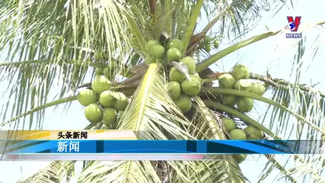 越通社新闻 - Bản tin tiếng Trung ngày 21/10/2024