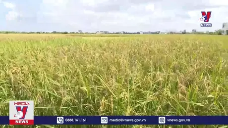 Bản tin thời sự 6h ngày 22/10/2024