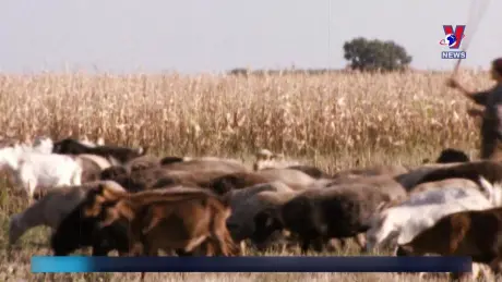 Tạp chí toàn cầu ngày 22/10/2024