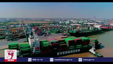 Mở rộng cơ hội hợp tác về công nghệ giữa Hải Phòng và Canada