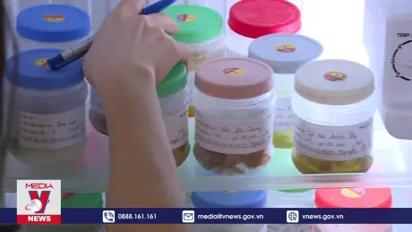 Tìm ra nguyên nhân hàng loạt học sinh, sinh viên tại Lào Cai nhập viện