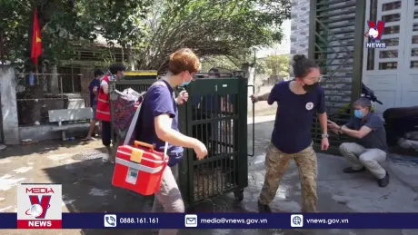 Hành trình chấm dứt nuôi nhốt gấu ở Việt Nam sắp cán đích