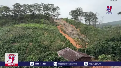 Rác thải sạt lở xuống vườn cà phê ở Lâm Đồng