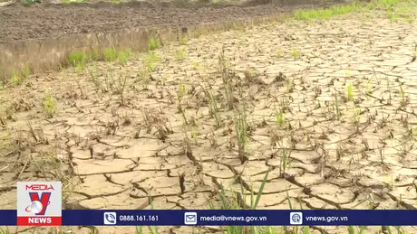 Lào Cai khôi phục sản xuất, khắc phục thiệt hại sau bão lũ