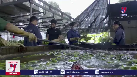 Bản tin thời sự 8h ngày 23/10/2024