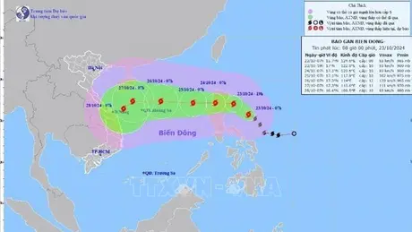 Biển động dữ dội trước tác động của bão TRAMI