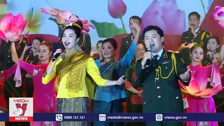 Giao lưu hữu nghị 