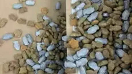 Triệt phá đường dây vận chuyển trái phép chất ma tuý giấu trong thức ăn chó, mèo từ nước ngoài về Việt Nam