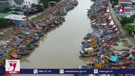 Ngư dân Nghệ An về bờ tránh bão Trà Mi