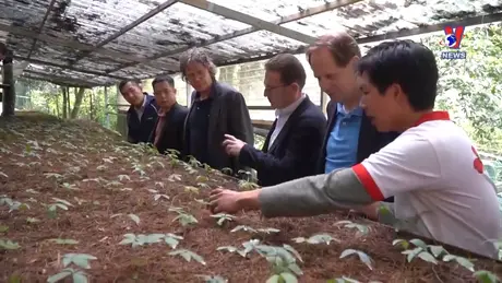 Tương Lai Xanh ngày 24/10/2024