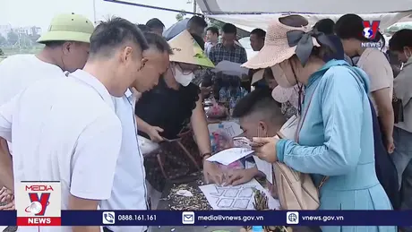 Vì sao nhiều người trúng đấu giá đất chưa nộp tiền?