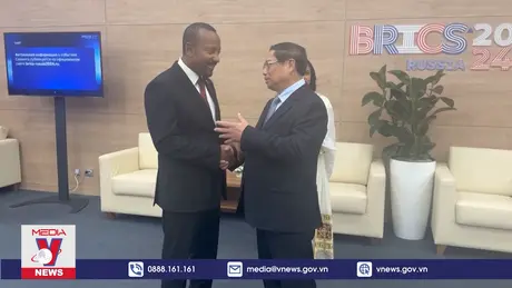 Thủ tướng gặp gỡ bên lề Hội nghị BRICS