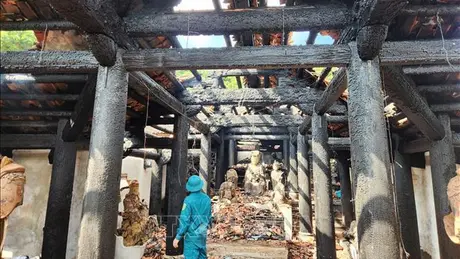 Thực hiện ngay biện pháp bảo vệ Bảo vật quốc gia sau vụ cháy chùa Phổ Quang