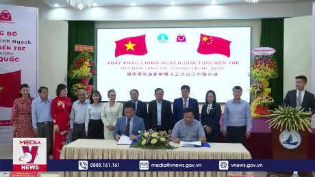 Bến Tre xuất khẩu chính ngạch dừa tươi sang Trung Quốc