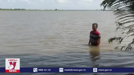 Gần 13.000 ha lúa, hoa màu tại Long An bị ảnh hưởng do mưa, triều cường