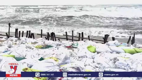 Thừa Thiên – Huế chủ động ứng phó bão số 6