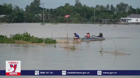 Người dân vùng đầu nguồn Đồng Tháp mưu sinh trong mùa nước nổi