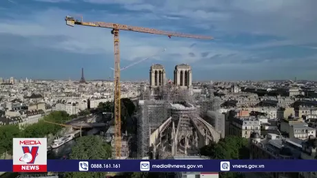Pháp đề xuất tính phí tham quan Nhà thờ Đức Bà Paris