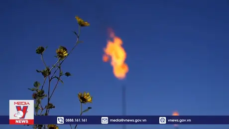 G20 cam kết chuyển đổi năng lượng toàn cầu