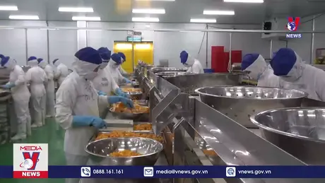 Bản tin thời sự 11h ngày 26/10/2024