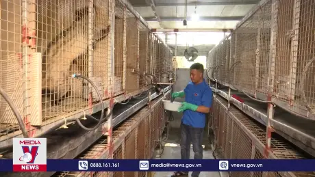 Lan tỏa mô hình Thanh niên thoát nghèo từ phát triển kinh tế chăn nuôi giỏi