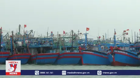 Đà Nẵng cảnh báo không chủ quan trước bão số 6