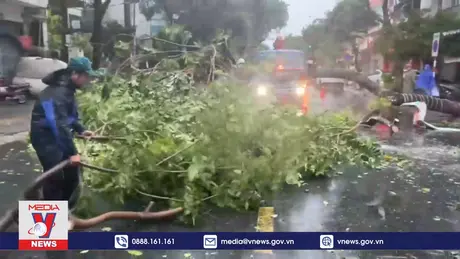 Bão số 6 ảnh hưởng trực tiếp tới đất liền Đà Nẵng