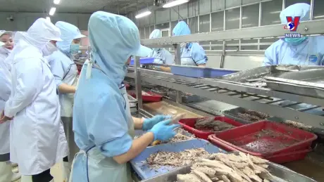 Việt Nam - Góc nhìn từ thế giới: Khai phá mỏ vàng Halal