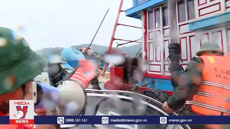 Hướng dẫn tàu thuyền neo đậu an toàn