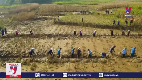 Bản tin thời sự 13h ngày 28/10/2024