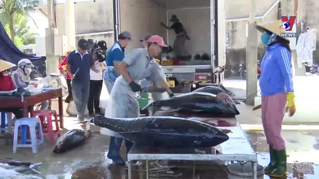 越通社新闻 28/10/2024