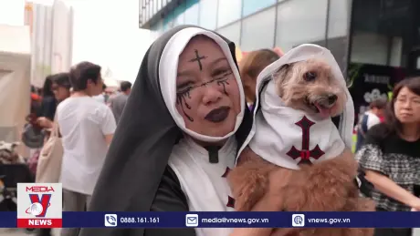Thú cưng trình diễn thời trang Halloween