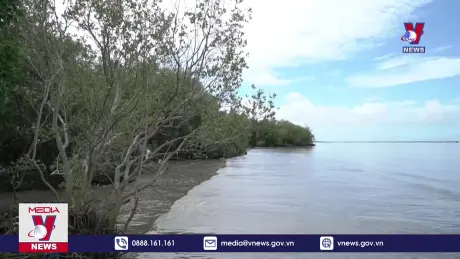 Kiên Giang phòng chống sạt lở ven biển, đảm bảo sinh kế người dân