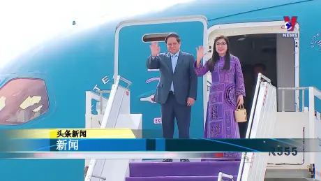 越通社新闻 29/10/2024