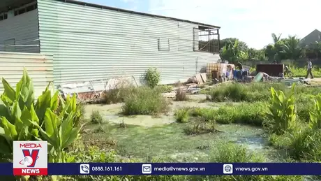 Cơ sở thu mua mủ cao su gây ô nhiễm môi trường